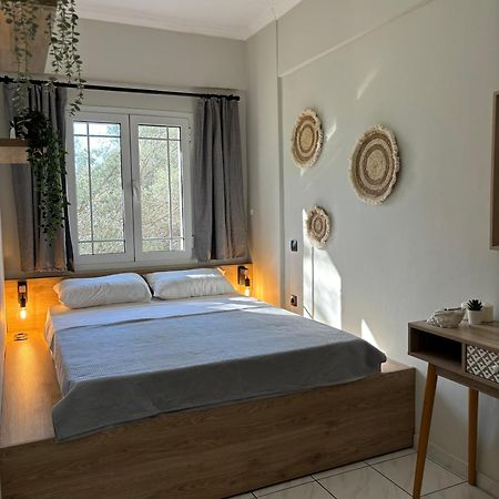 Olive Tree Apartments Lefkáda エクステリア 写真