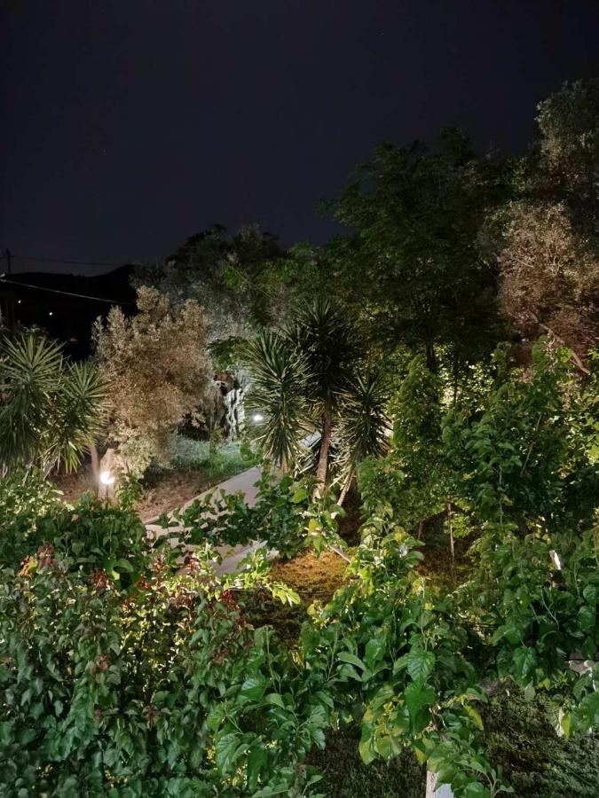 Olive Tree Apartments Lefkáda エクステリア 写真