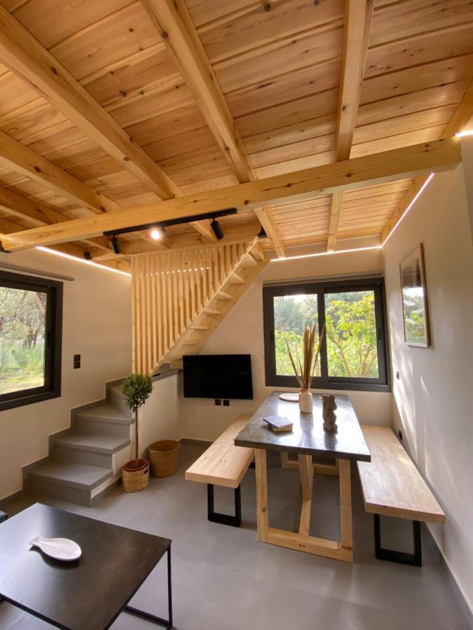 Olive Tree Apartments Lefkáda 部屋 写真