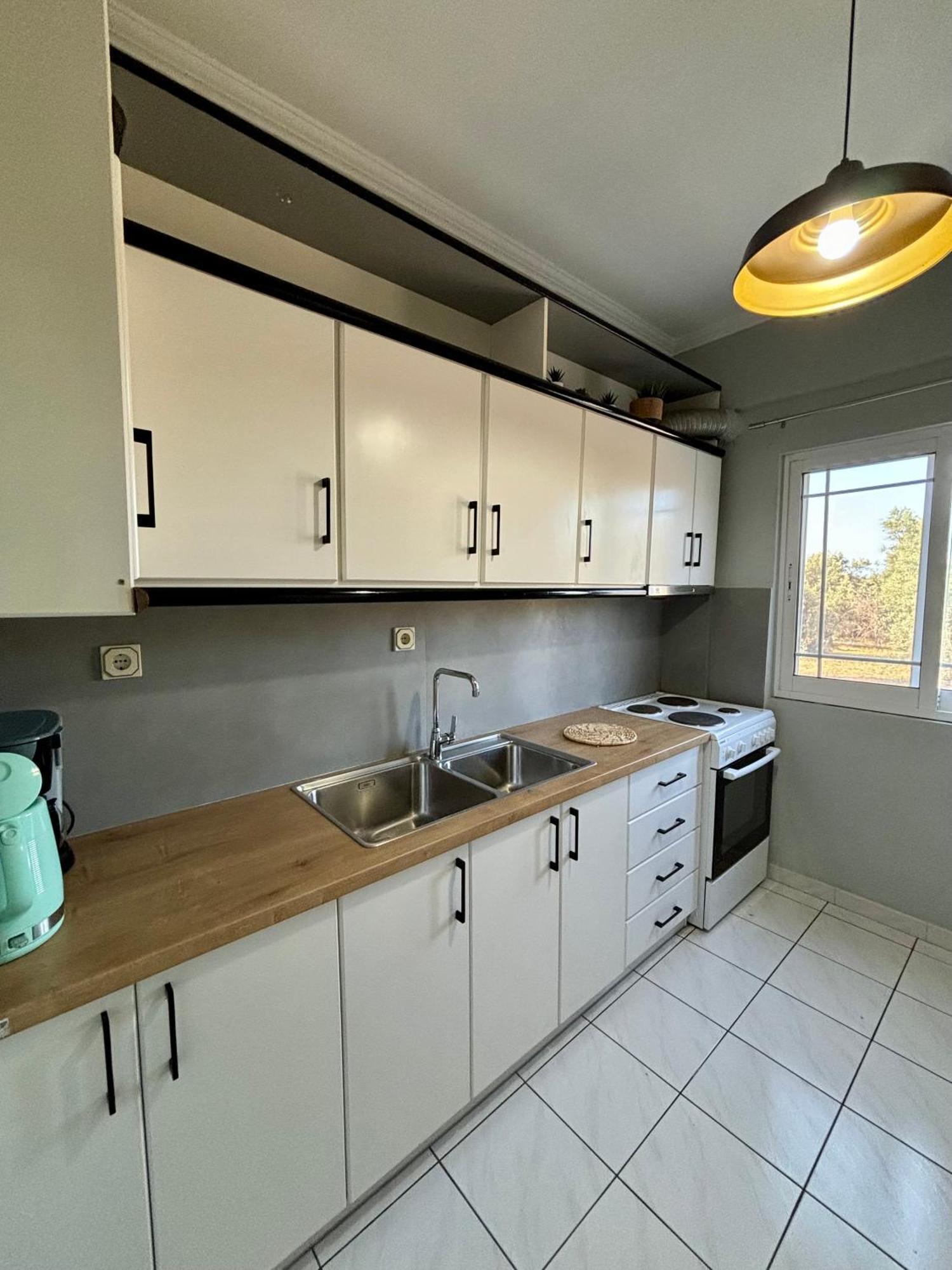 Olive Tree Apartments Lefkáda 部屋 写真