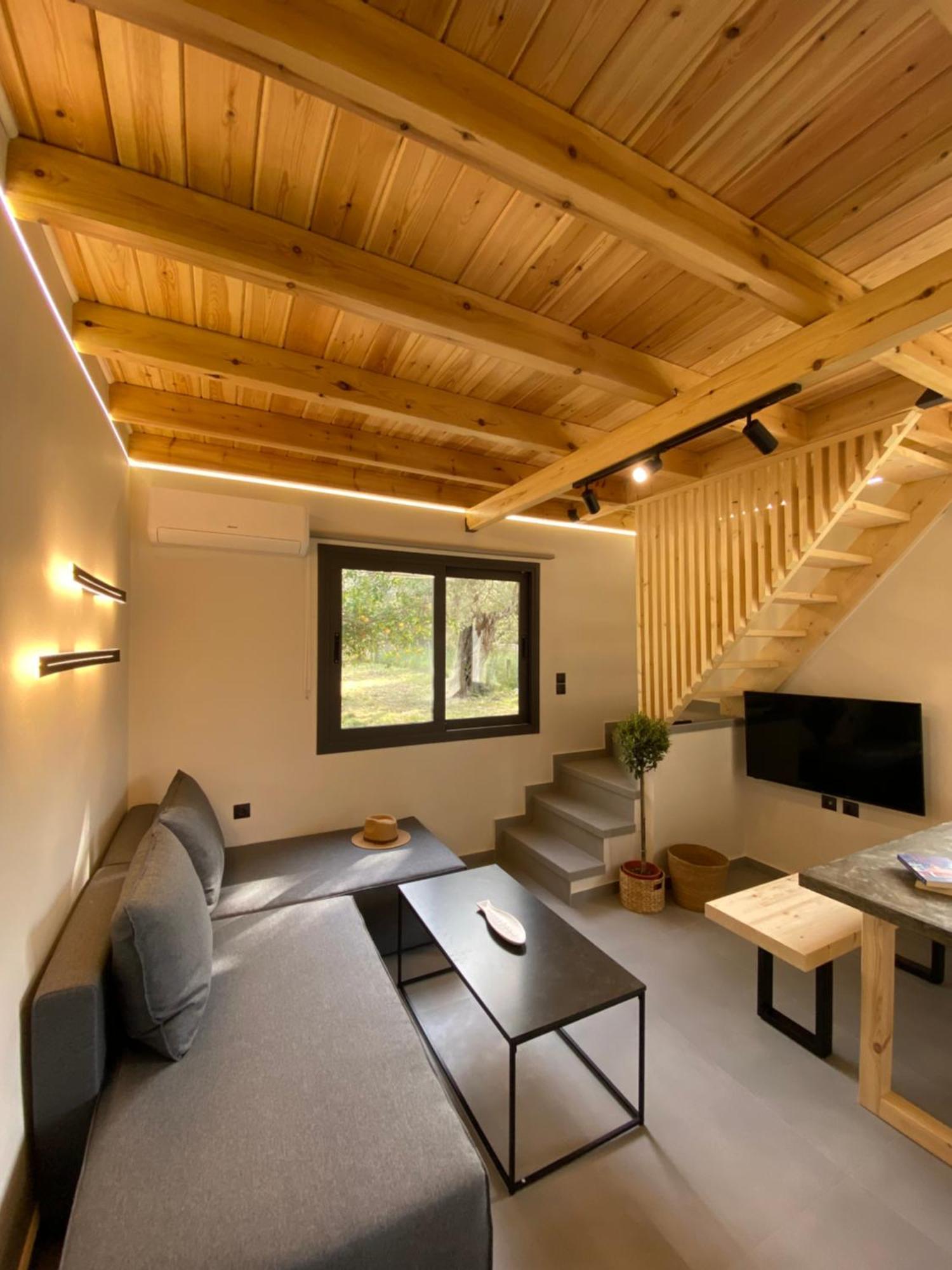 Olive Tree Apartments Lefkáda 部屋 写真