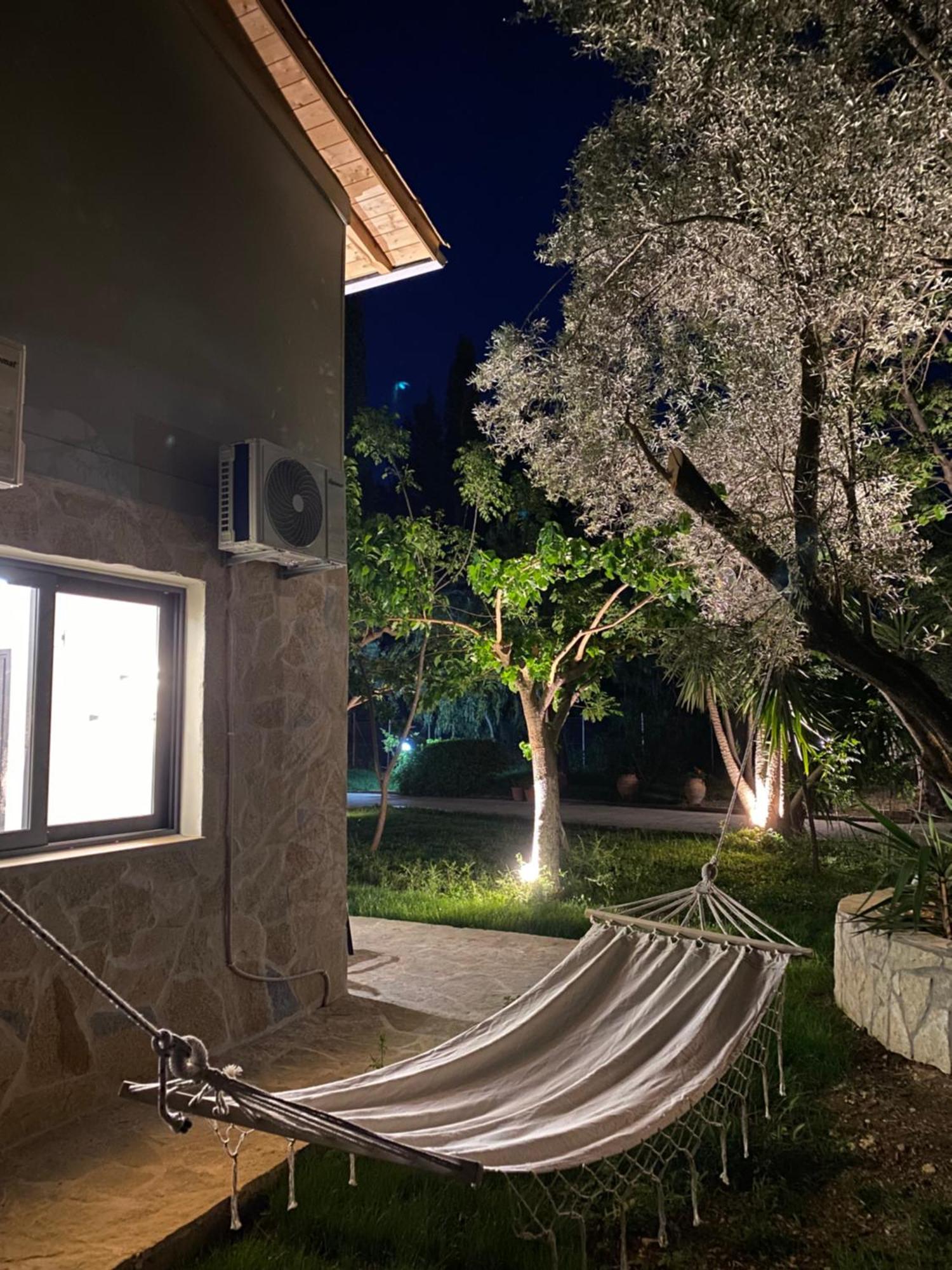 Olive Tree Apartments Lefkáda 部屋 写真