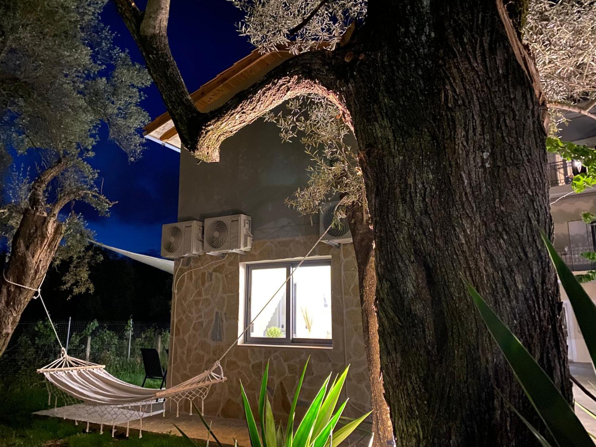 Olive Tree Apartments Lefkáda 部屋 写真