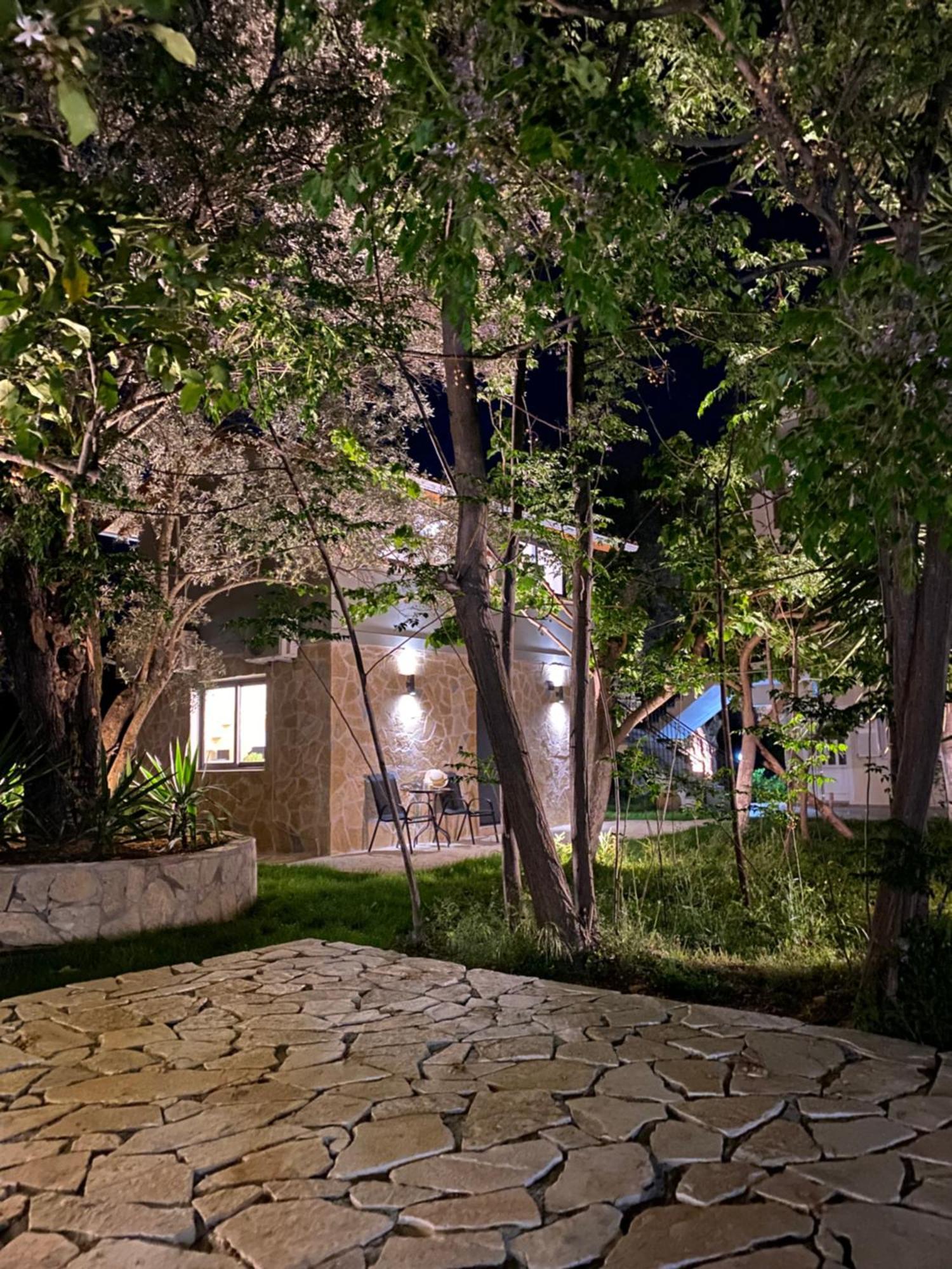 Olive Tree Apartments Lefkáda 部屋 写真
